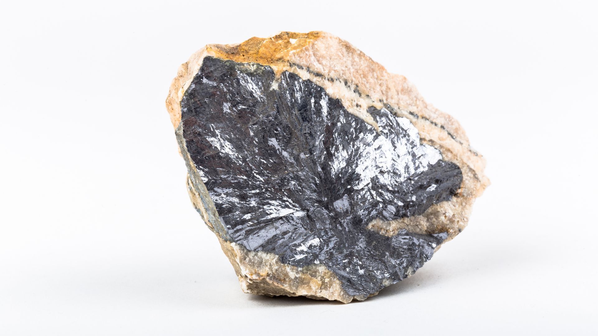 記事コンテンツ画像