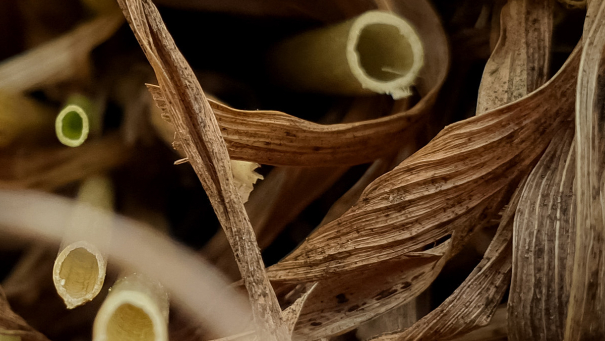 記事コンテンツ画像