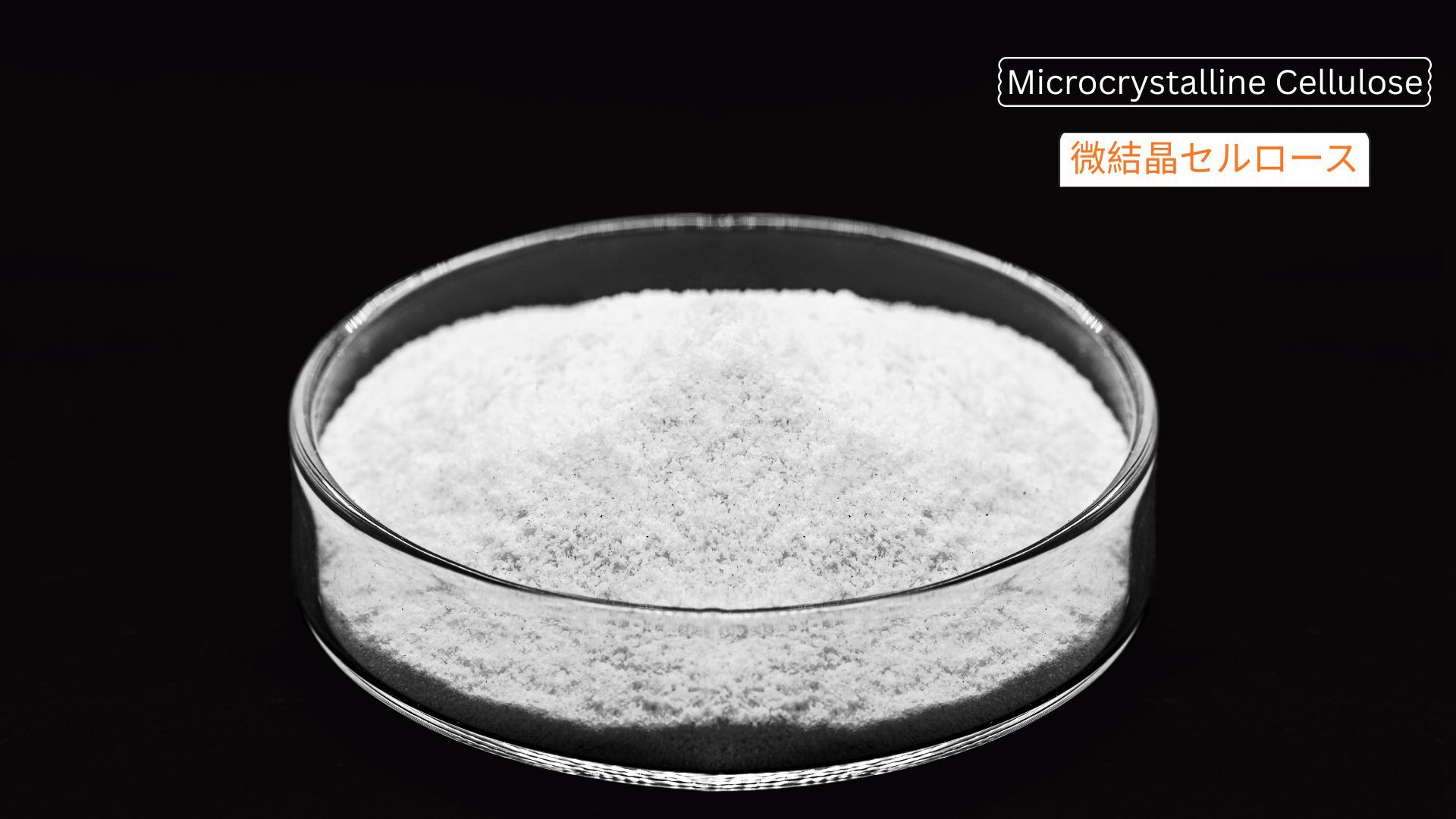 記事コンテンツ画像