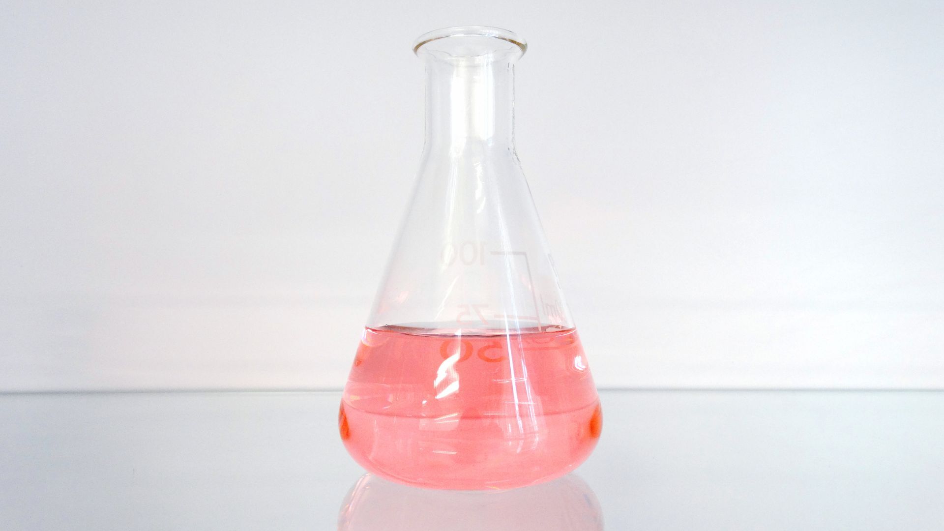 記事コンテンツ画像