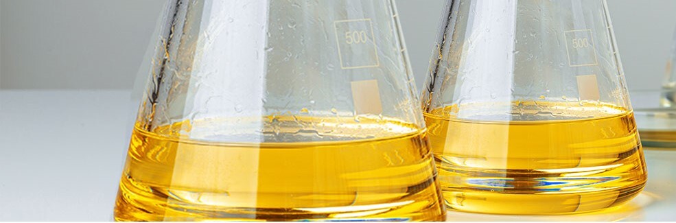 記事コンテンツ画像