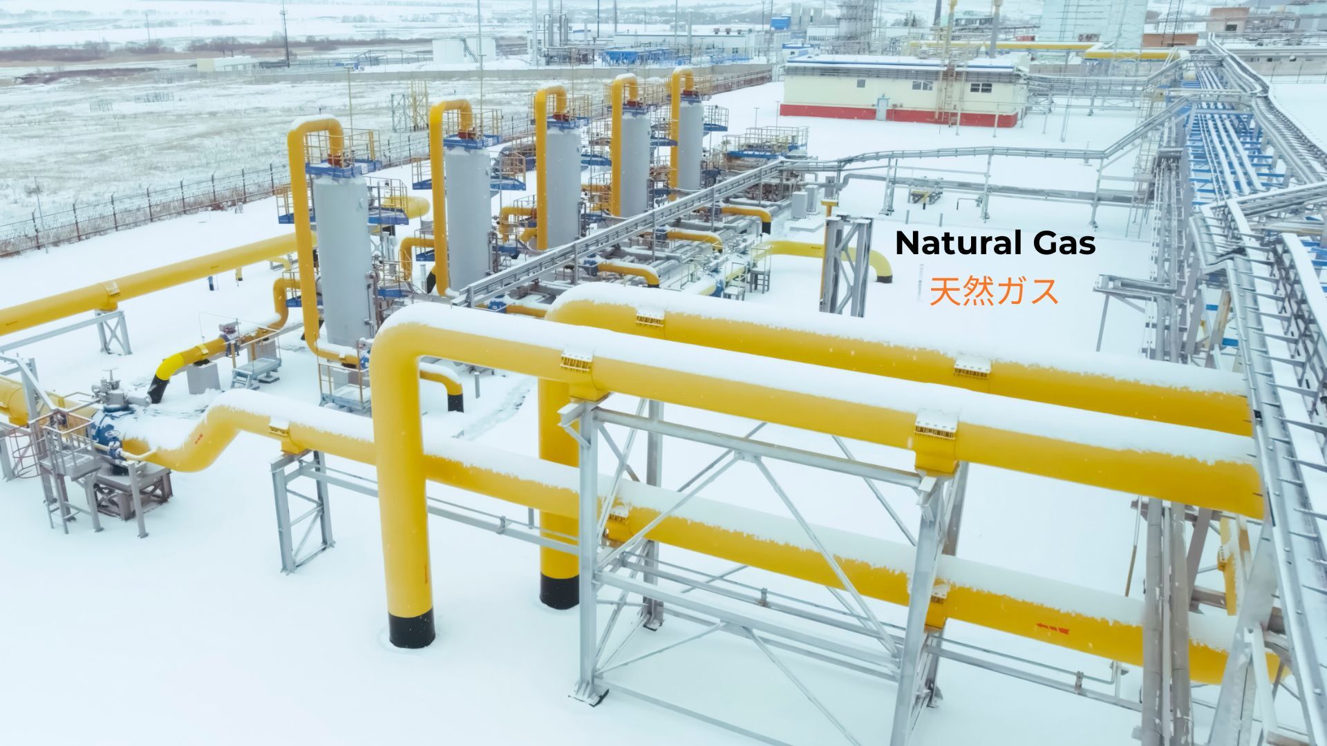 記事コンテンツ画像