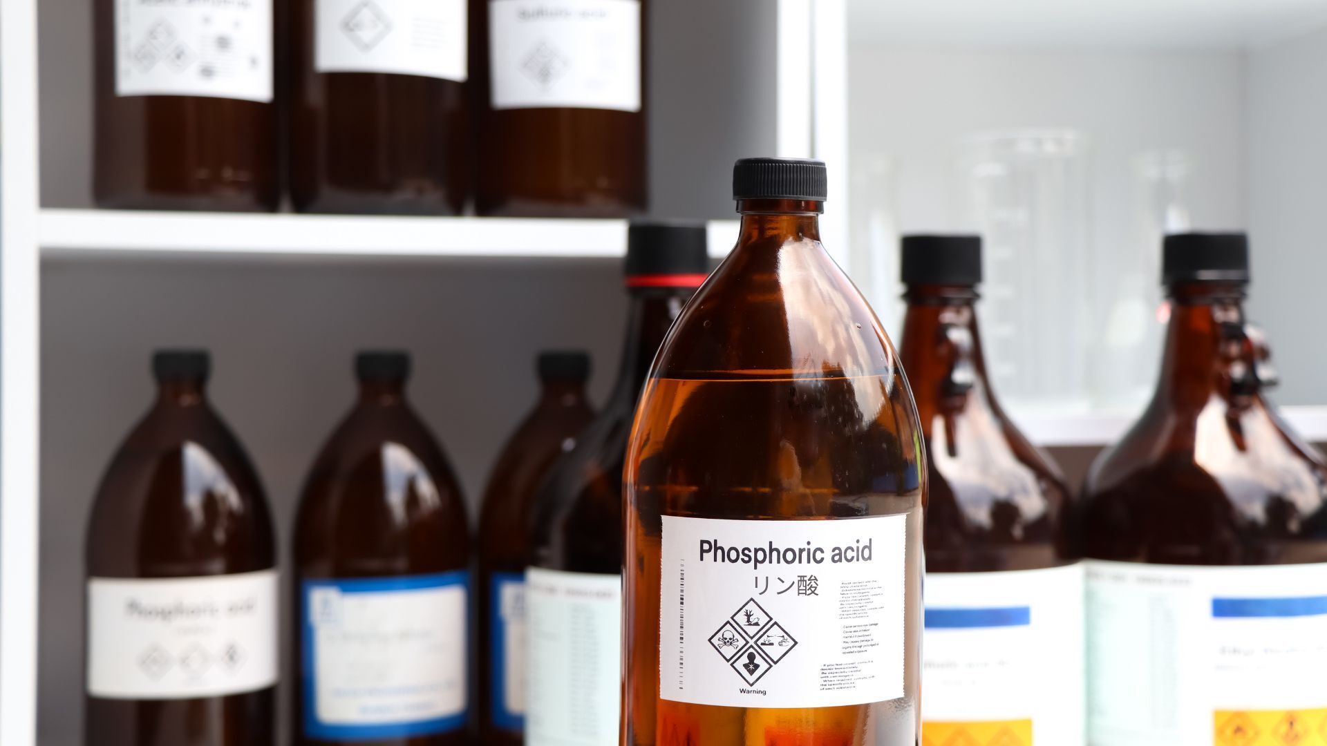 記事コンテンツ画像