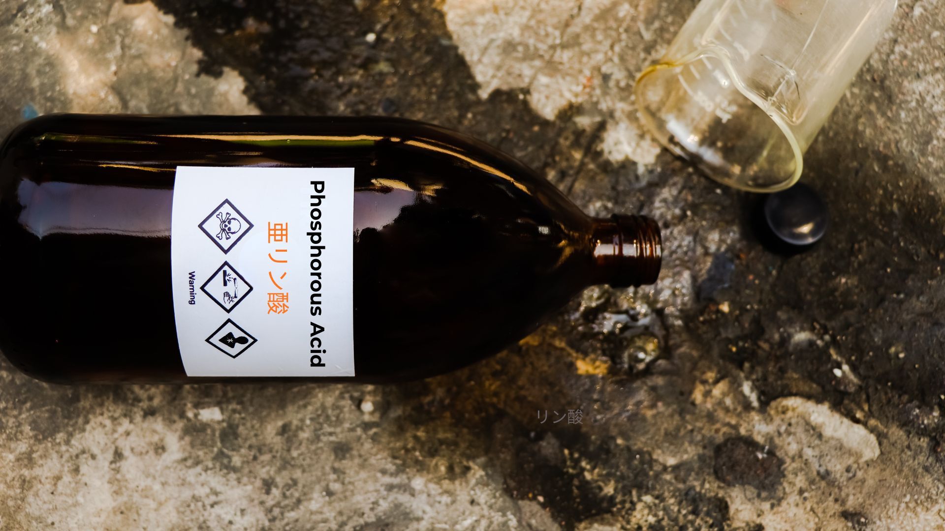 記事コンテンツ画像