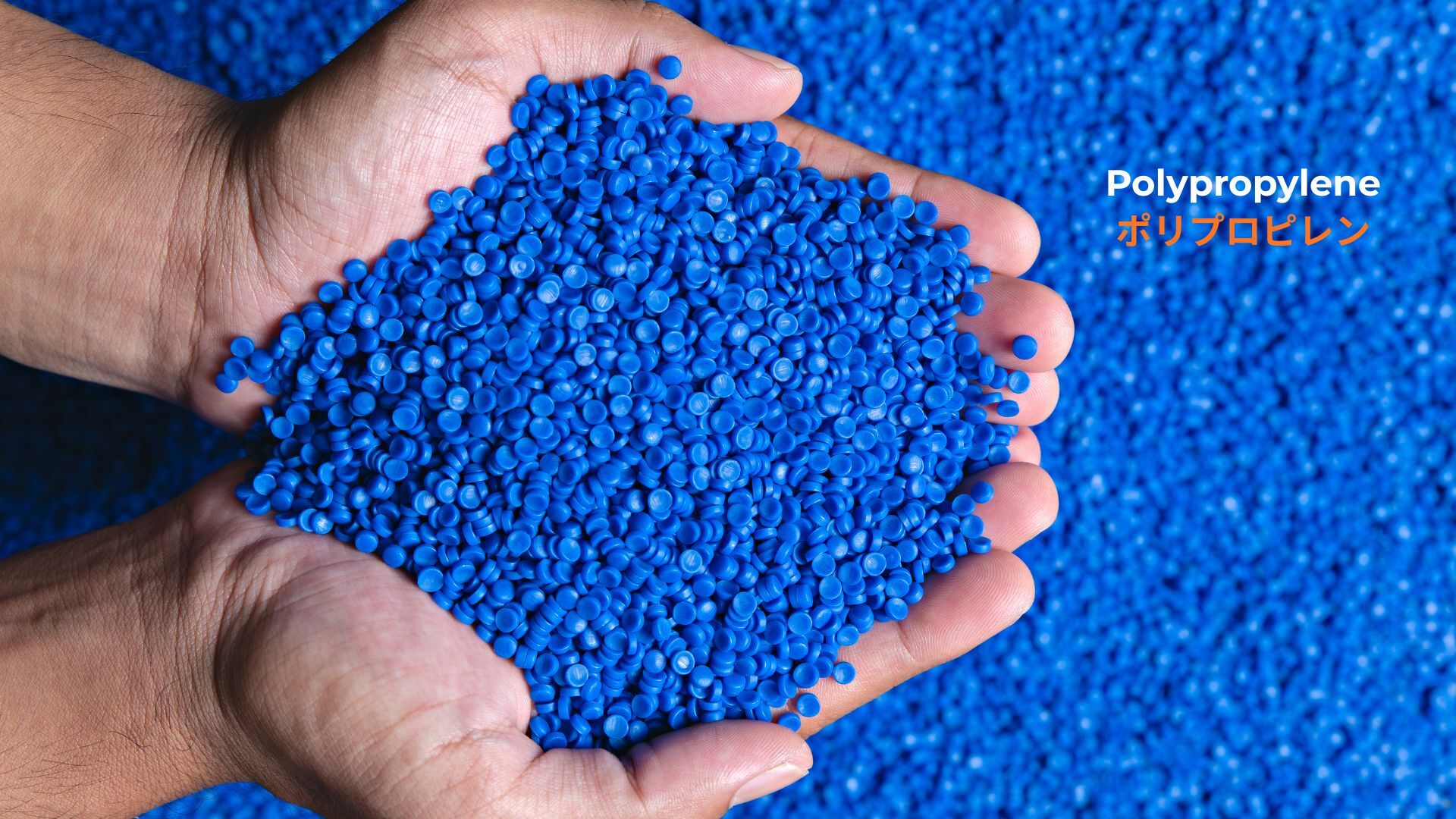 記事コンテンツ画像