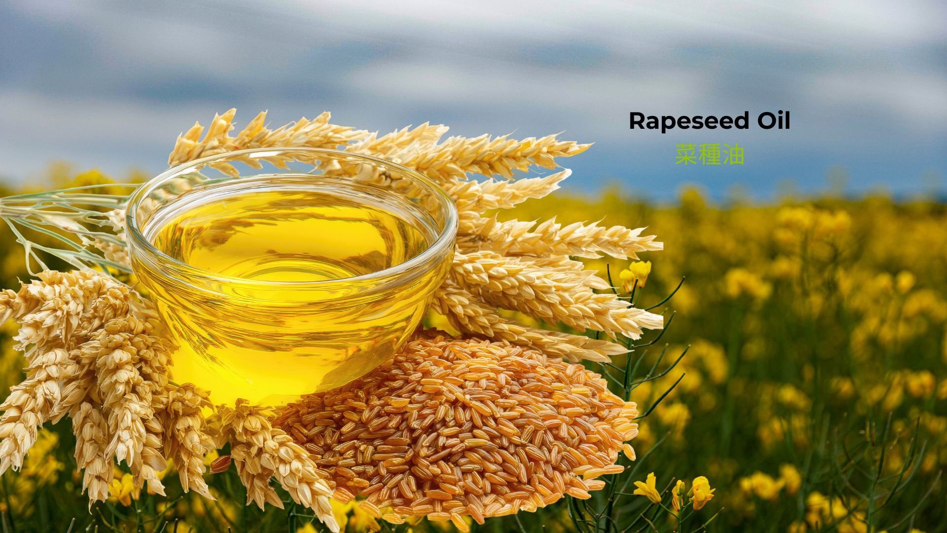 記事コンテンツ画像