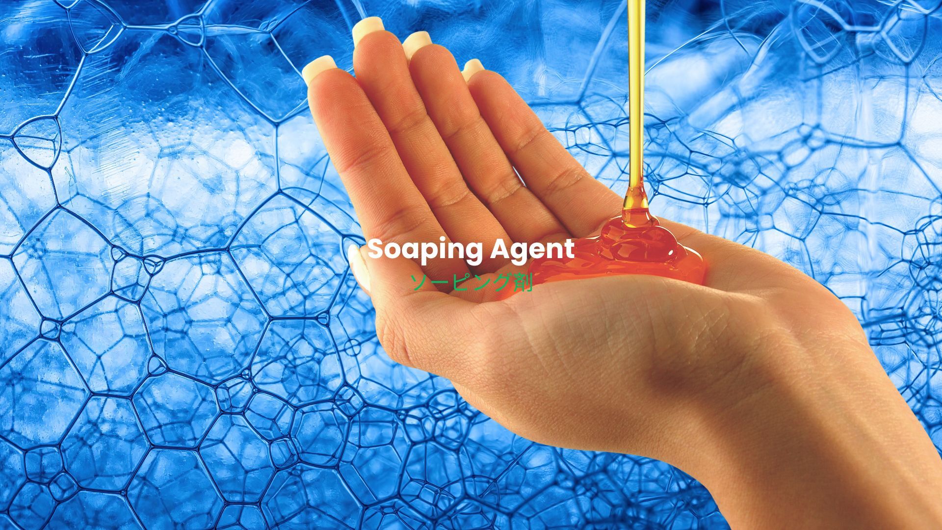 記事コンテンツ画像