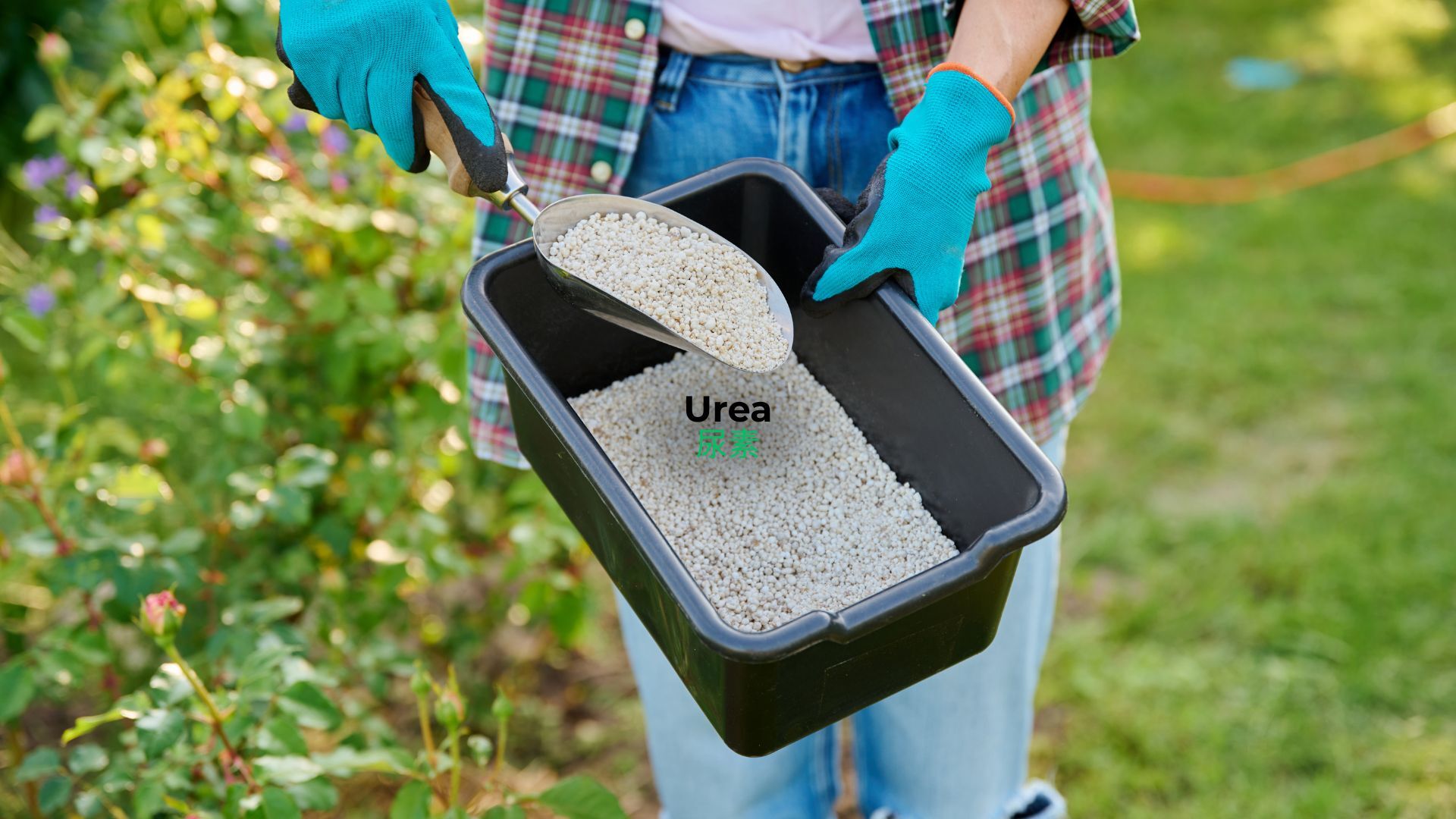 記事コンテンツ画像