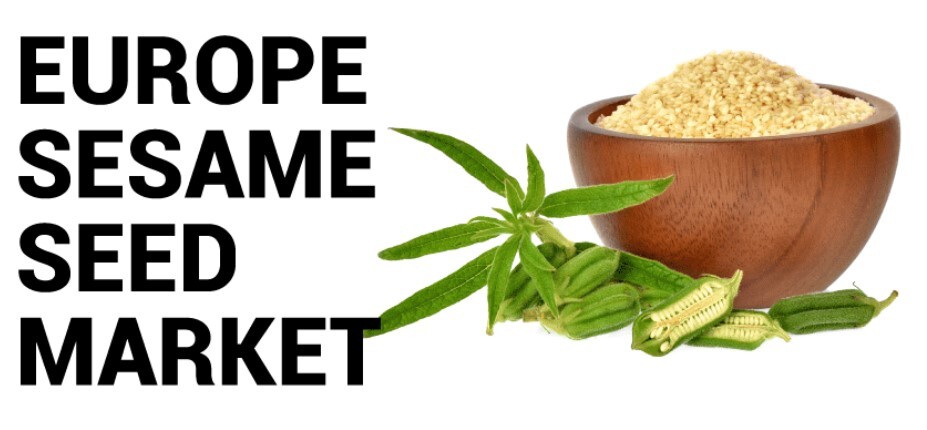 記事コンテンツ画像